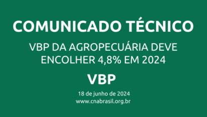 VBP DA AGROPECUÁRIA DEVE ENCOLHER 4,8% EM 2024