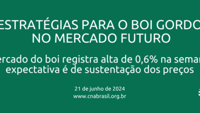 MERCADO DO BOI REGISTRA ALTA DE 0,6% NA SEMANA, EXPECTATIVA É DE SUSTENTAÇÃO DOS PREÇOS