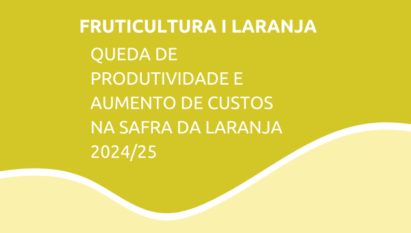 QUEDA DE PRODUTIVIDADE E AUMENTO DE CUSTOS NA SAFRA DA LARANJA 2024/25