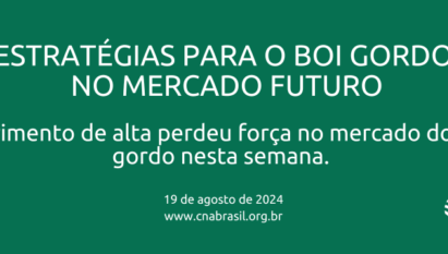 MOVIMENTO DE ALTA PERDEU FORÇA NO MERCADO DO BOI GORDO NESTA SEMANA.