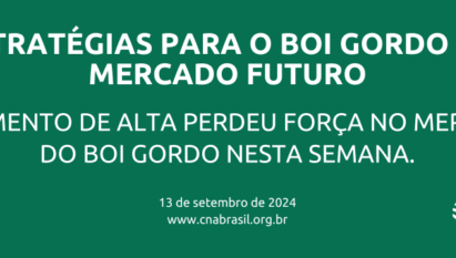 MOVIMENTO DE ALTA PERDEU FORÇA NO MERCADO DO BOI GORDO NESTA SEMANA