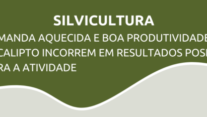 Demanda aquecida e boa produtividade do eucalipto incorrem em resultados positivos para atividade