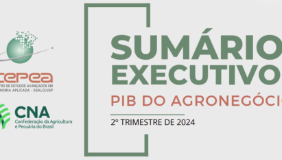 SUMÁRIO EXECUTIVO PIB DO AGRONEGÓCIO - 2º TRIMESTRE DE 2024