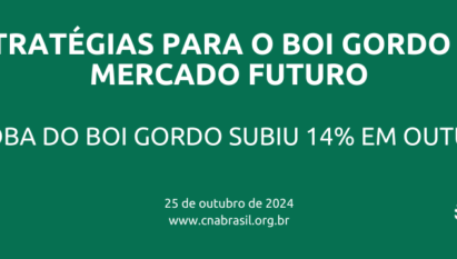 ARROBA DO BOI GORDO SUBIU 14% EM OUTUBRO