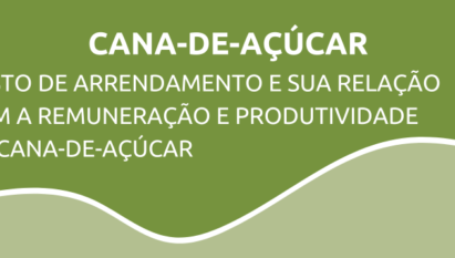 CUSTO DE ARRENDAMENTO E SUA RELAÇÃO COM A REMUNERAÇÃO E PRODUTIVIDADE DA CANA-DE-AÇÚCAR