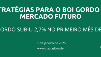 Boi gordo subiu 2,7% no primeiro mês de 2025