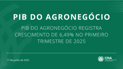 PIB do agronegócio registra crescimento de 6,49% no primeiro trimestre de 2025