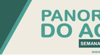 PANORAMA DO AGRO - SEMANA 21 A 25 DE MARÇO DE 2022