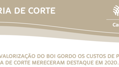 APESAR DA VALORIZAÇÃO DO BOI GORDO OS CUSTOS DE PRODUÇÃO NA PECUÁRIA DE CORTE MERECERAM DESTAQUE EM 2020