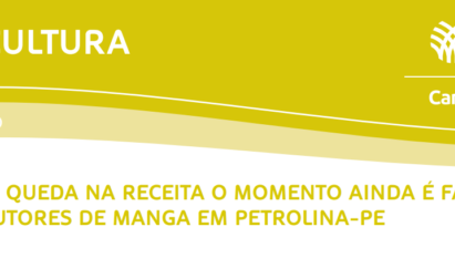 APESAR DE QUEDA NA RECEITA O MOMENTO AINDA É FAVORÁVEL AOS PRODUTORES DE MANGA EM PETROLINA-PE