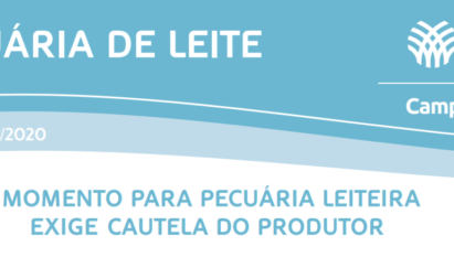 MOMENTO PARA PECUÁRIA LEITEIRA EXIGE CAUTELA DO PRODUTOR