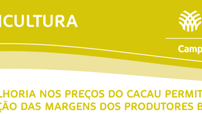 MELHORIA NOS PREÇOS DO CACAU PERMITE AMPLIAÇÃO DAS MARGENS DOS PRODUTORES BAIANOS