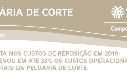 ALTA NOS CUSTOS DE REPOSIÇÃO EM 2019 ELEVOU EM ATÉ 33% OS CUSTOS OPERACIONAIS TOTAIS DA PECUÁRIA DE CORTE