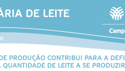 CUSTO DE PRODUÇÃO CONTRIBUI PARA A DEFINIÇÃO DA QUANTIDADE DE LEITE A SE PRODUZIR