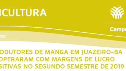 PRODUTORES DE MANGA EM JUAZEIRO-BA OPERARAM COM MARGENS DE LUCRO POSITIVAS NO SEGUNDO SEMESTRE DE 2019.