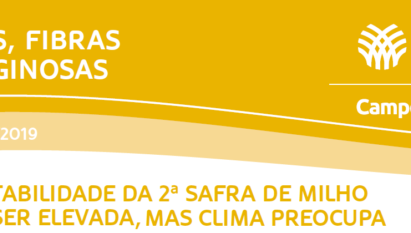 RENTABILIDADE DA 2ª SAFRA DE MILHO PODE SER ELEVADA, MAS CLIMA PREOCUPA