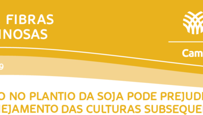 ATRASO NO PLANTIO DA SOJA PODE PREJUDICAR O PLANEJAMENTO DAS CULTURAS SUBSEQUENTES