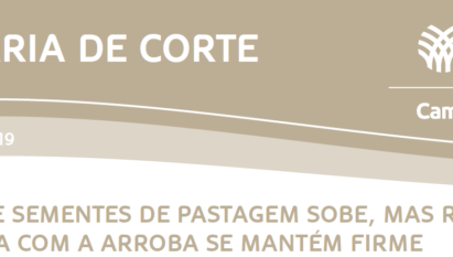 RELAÇÃO DE TROCA DE SEMENTES DE PASTAGEM NA BOVINOCULTURA DE CORTE