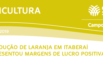 MARGENS DE LUCRO DA LARANJA EM ITABERAÍ-GO