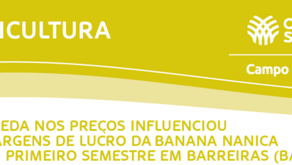 MARGENS DE LUCRO DA BANANA NANICA EM BARREIRAS-BA