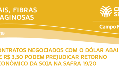 CENÁRIOS SOBRE O RETORNO ECONÔMICO DA SOJA NA SAFRA 19/20