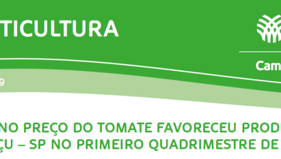 AUMENTO NO PREÇO DO TOMATE FAVORECEU PRODUTORES DE MOGI GUAÇU– SP NO PRIMEIRO QUADRIMESTRE DE 2019