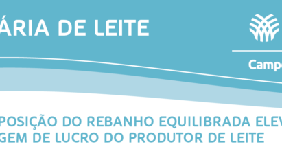 COMPOSIÇÃO DO REBANHO EQUILIBRADA ELEVA MARGEM DE LUCRO DO PRODUTOR DE LEITE