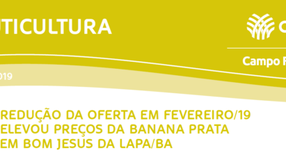 REDUÇÃO DA OFERTA EM FEVEREIRO/19 ELEVOU PREÇOS DA BANANA PRATA EM BOM JESUS DA LAPA