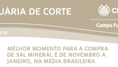 MELHOR MOMENTO PARA A COMPRA DE SAL MINERAL É DE NOVEMBRO A JANEIRO, NA MÉDIA BRASILEIRA