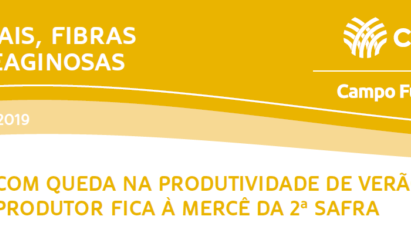 COM QUEDA NA PRODUTIVIDADES DE VERÃO, PRODUTOR FICA À MERCÊ DA 2ª SAFRA