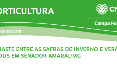 CONTRASTE ENTRE AS SAFRAS DE INVERNO E VERÃO DO BRÓCOLIS EM SENADOR AMARAL/MG