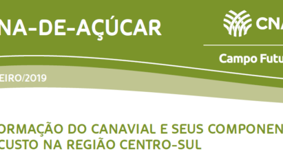 A FORMAÇÃO DO CANAVIAL E SEUS COMPONENTES DE CUSTO NA REGIÃO CENTRO-SUL