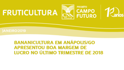 BANANICULTURA EM ANÁPOLIS/GO APRESENTOU BOA MARGEM DE LUCRO NO ÚLTIMO TRIMESTRE DE 2018