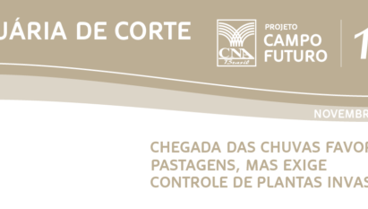 CHEGADA DAS CHUVAS FAVORECE PASTAGENS, MAS EXIGE CONTROLE DE PLANTAS INVASORAS