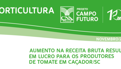 AUMENTO NA RECEITA BRUTA RESULTOU EM LUCRO PARA OS PRODUTORES DE TOMATE EM CAÇADOR/SC