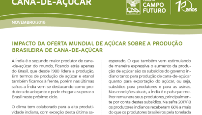 IMPACTO DA OFERTA MUNDIAL DE AÇÚCAR SOBRE A PRODUÇÃO BRASILEIRA DE CANA-DE-AÇÚCAR