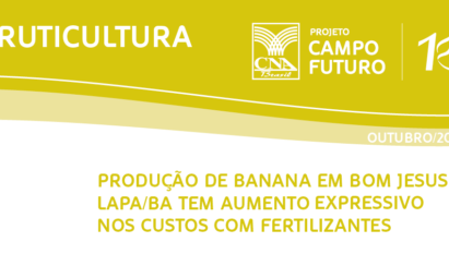 PRODUÇÃO DE BANANA EM BOM JESUS DA LAPA/BA TEM AUMENTO EXPRESSIVO NOS CUSTOS COM FERTILIZANTES