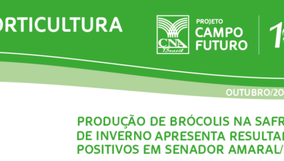 PRODUÇÃO DE BRÓCOLIS NA SAFRA DE INVERNO APRESENTA RESULTADOS POSITIVOS EM SENADOR AMARAL/MG