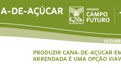 PRODUZIR CANA-DE-AÇÚCAR EM ÁREA ARRENDADA É UMA OPÇÃO VIÁVEL?