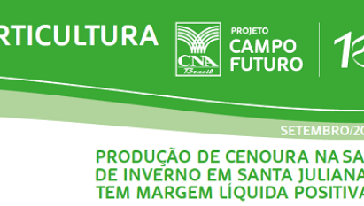 HORTICULTURA: PRODUÇÃO DE CENOURA NA SAFRA DE INVERNO EM SANTA JULIANA TEM MARGEM LÍQUIDA POSITIVA