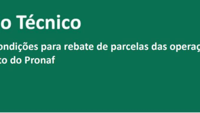 PUBLICADO DECRETO QUE DETERMINA CONDIÇÕES DE CONCESSÃO DE  REBATE PARA PRODUTORES RURAIS AFETADOS PELA ESTIAGEM NA  REGIÃO SUL E NO MATO GROSSO DO SUL