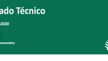 INFLAÇÃO ACELERA NOVAMENTE EM OUTUBRO/2020