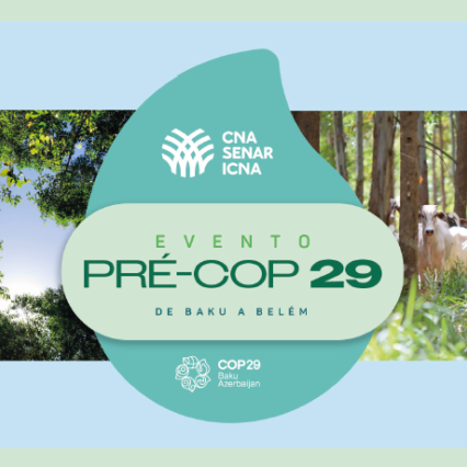 PRÉ-COP 29