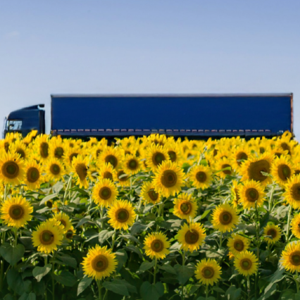 BIODIESEL: A FORÇA DA AGRICULTURA BRASILEIRA NA TRANSIÇÃO ENERGÉTICA