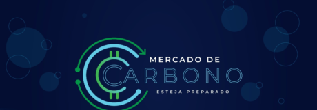 Mercado de Carbono