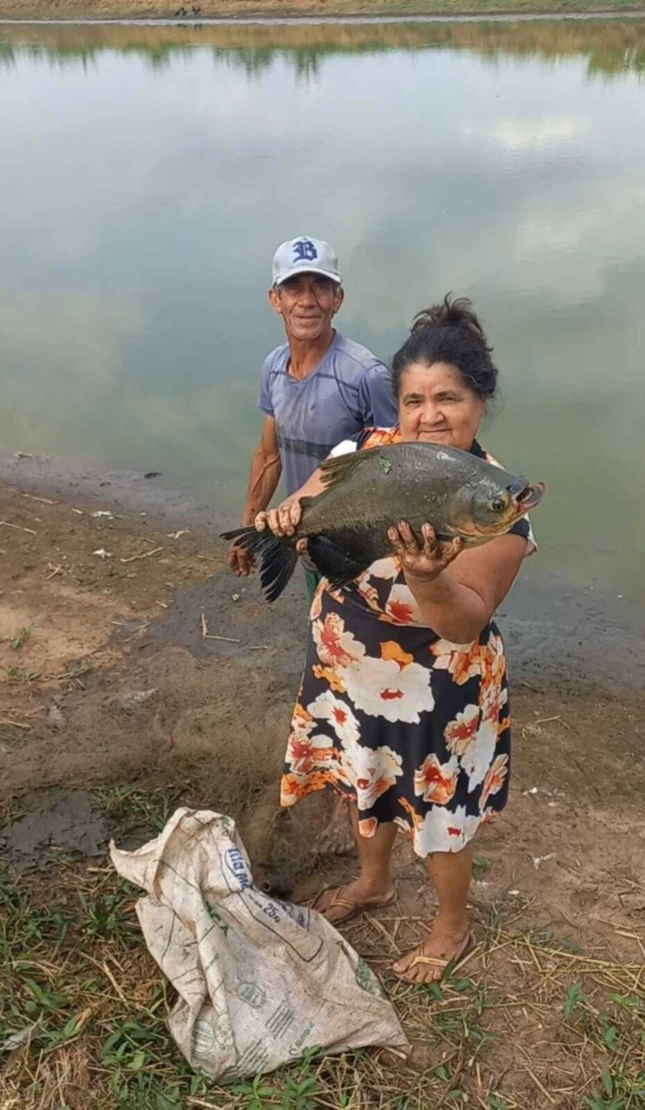 Senar impulsiona piscicultura no Projeto Boa Vista e transforma a vida de produtores em Grajaú