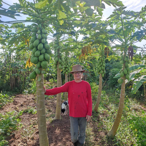 06 23 jun caso de sucesso olericultura rondonopolis aide 1