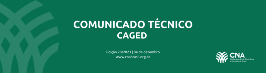 COMUNICADO TECNICO 11