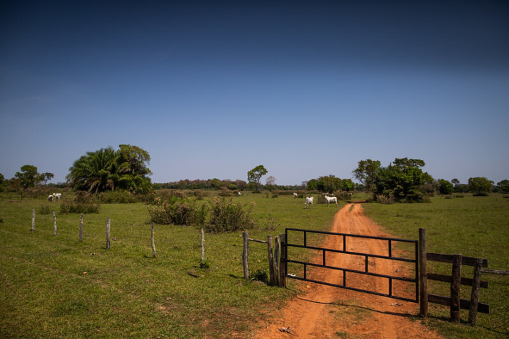 53200679225 10961448ce c 1