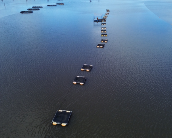 Dji fly 20240323 095550 858 1711198641826 photo